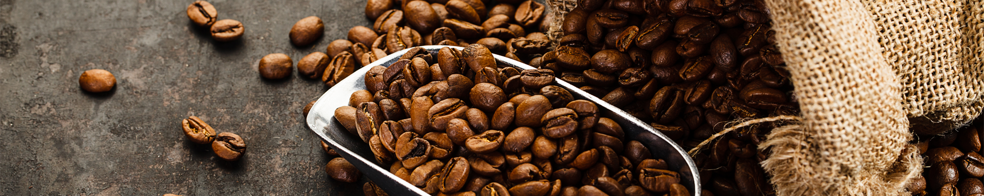 Good to Know: What Are The Different Types of Coffee Beans?